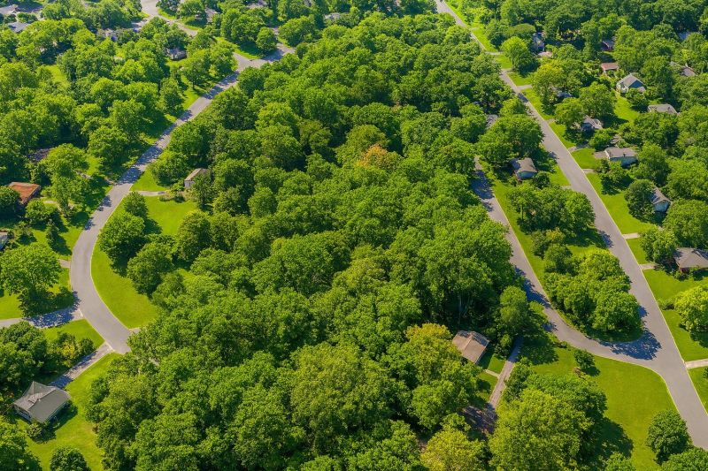 Hero for Home Services Options